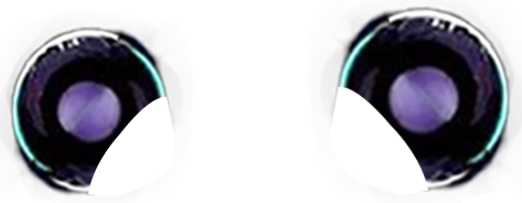 Ears